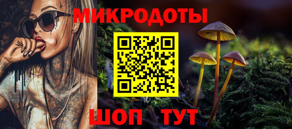 Псилоцибиновые грибы Cubensis Михайловка